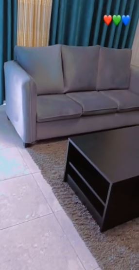 Elegant Couch both stylish and comfortable Sofa with Sophisticated and highly customizable on a cheap price #1
